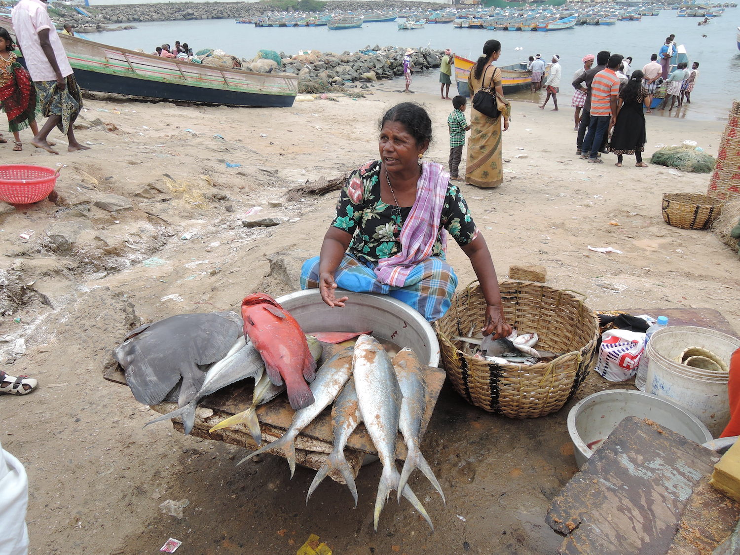 Fish market